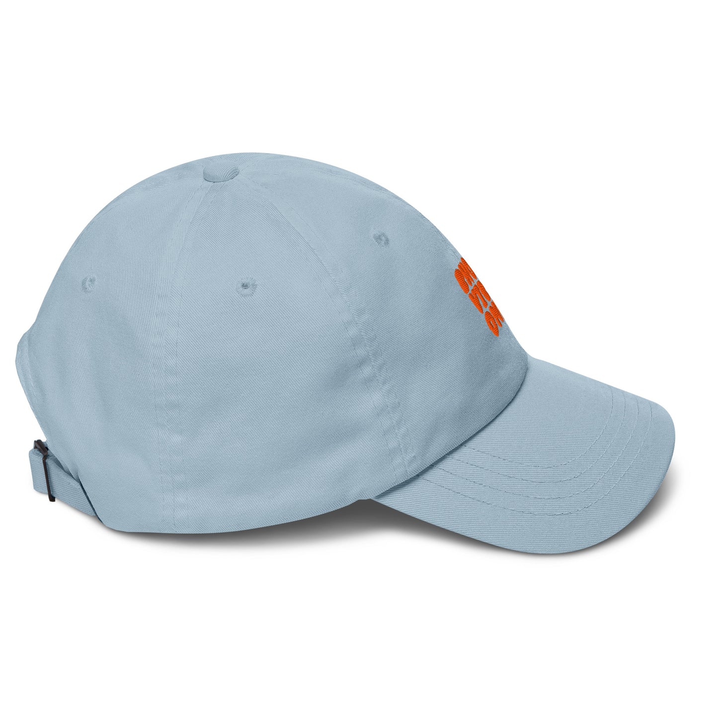 Bhoot Vibes Only cap light blue right side – streetwear hat