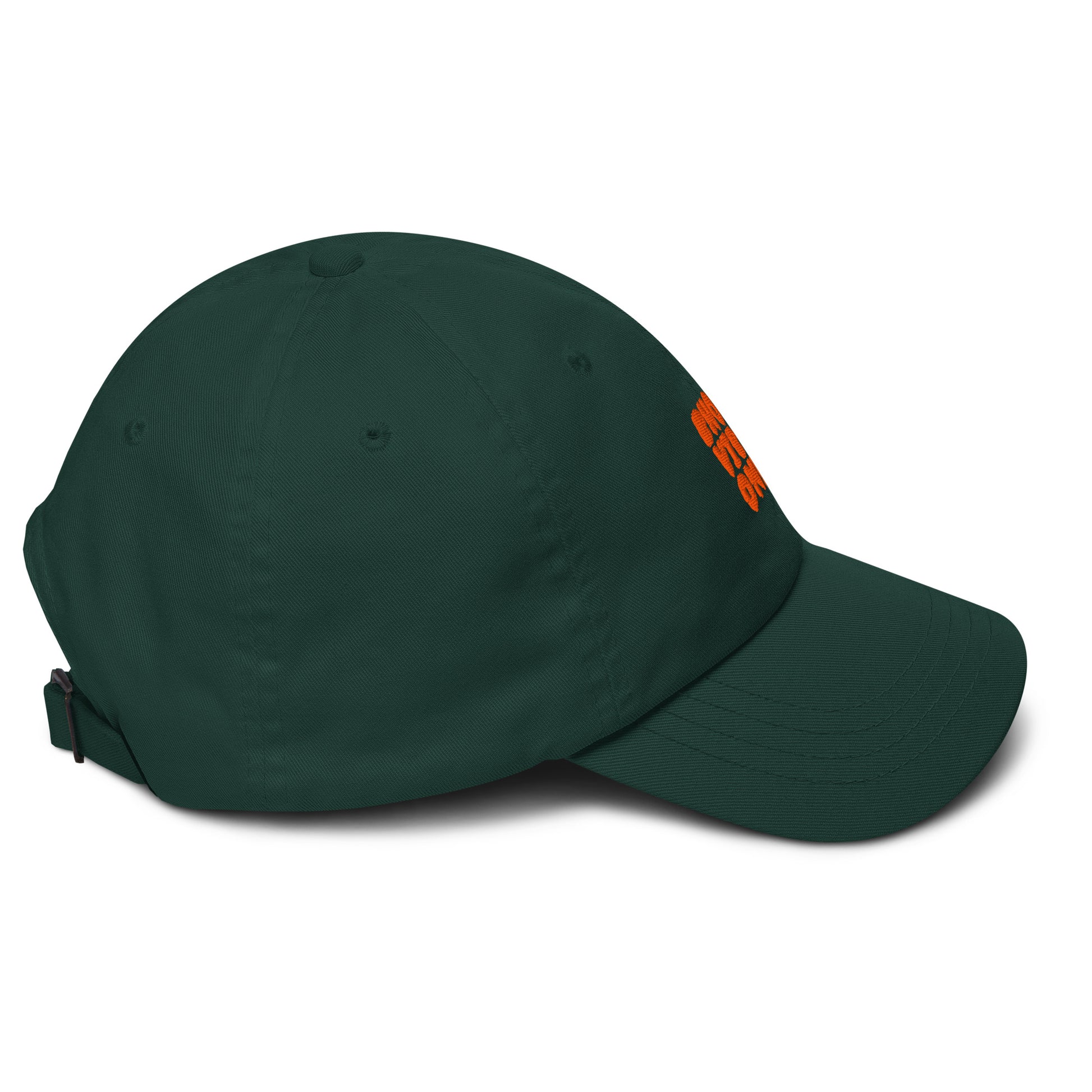 Bhoot Vibes Only cap spruce green right side – streetwear hat
